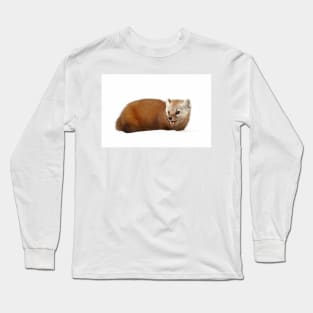 Pine Marten - Algonquin Park Long Sleeve T-Shirt